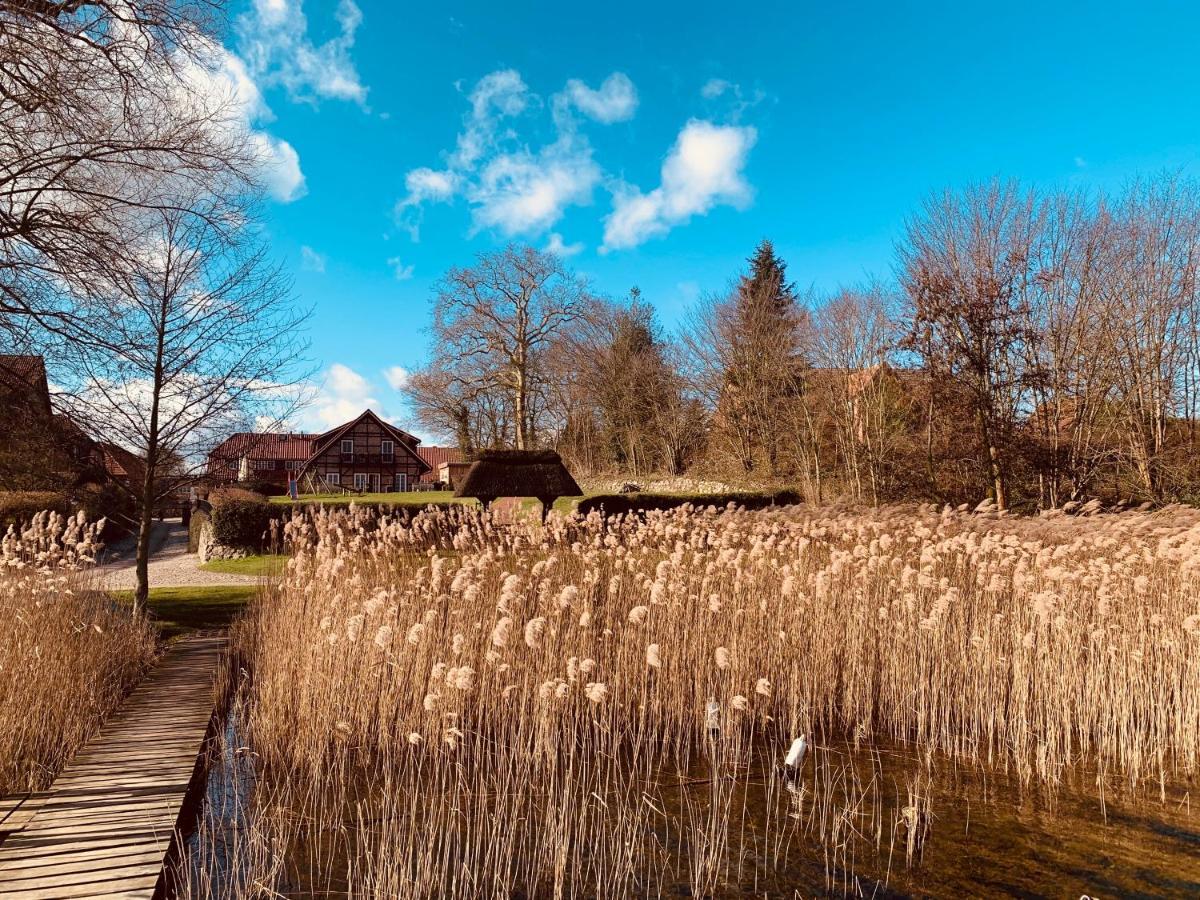 Fischhaus Am Schaalsee Zarrentin am Schaalsee Eksteriør billede